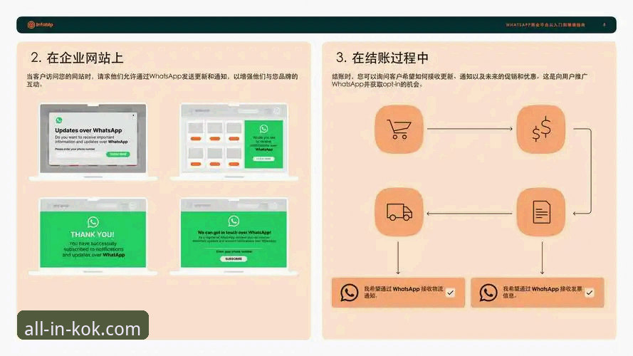 KOK使用教程 2024年KOK官方网站使用教程最新动态:从入门到精通的全流程详解